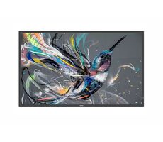54,6" PHILLIPS 55BDL3650Q/00 schwarz / IPS / 3840 x 2160 / 16:9 / 8 ms / 400 cd / 1300:1 / DVI+HDMI / USB / Lautsprecher  