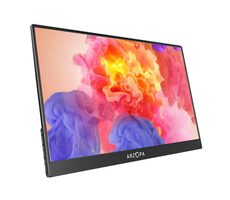 17,3" Arzopa A1 M schwarz / IPS / 1920x1080 / 1000:1 / 300cd-m2 / miniHDMI + USB-C / tragbar 