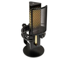 Endgame Gear XSTRM Desktop-Mikrofon schwarz / USB-C / 3,5 mm Klinke / Kondensator