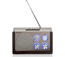 ROADSTAR HRA-1345NUS/WD silber / Radio / UKW / DAB+ / RDS / 3,5 mm 