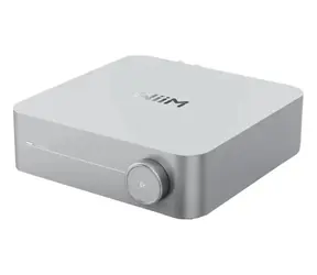 WiiM Amp Silber / Verstärker / 60 W/Kanal / RCA / HDMI / BT / LAN / optischer Eingang