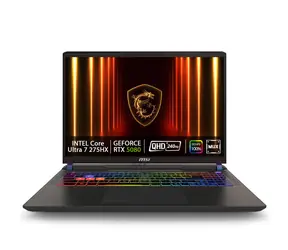 MSI Vector 16 HX AI A2XWHG-095CZ grau / 16" QHD+ / Intel Core Ultra 7 255HX / 32GB / 1TB SSD / RTX 5070Ti 12GB / W11H