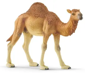 Schleich Wild Life 14832 Dromedar / ab 3 Jahren