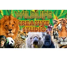 ESD Wildlife Creative Studio / Elektronische Steam-Lizenz / Lehrreich / Für PC