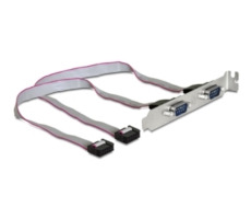 DeLock Stecker mit 2x seriellem Port / DB-9 / 27cm
