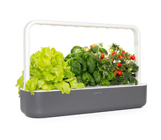 Click And Grow SMART Garden 9 grau / Smarter Blumentopf / automatische Bewässerung / 3x Tomaten / 3x Basilikum / 3x Salat