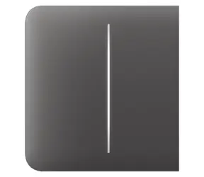 AJAX SideButton (2-fach) - Zwei Seitentaster für LightSwitch grau