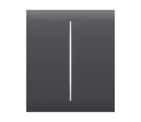 AJAX CenterButton (2-fach) - Mitteltaster für LightSwitch Graphit