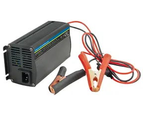 Avacom WILSTAR 12,8V 20A Ladegerät für LiFePO4 Batterien 