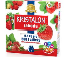 Agro Kristalon Erdbeere 0,5 kg