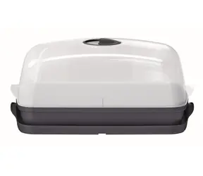 Prosperplast RESPANA TISCHGEWÄCHSHAUS anthrazit 39,1 cm / Pflanzgefäß 