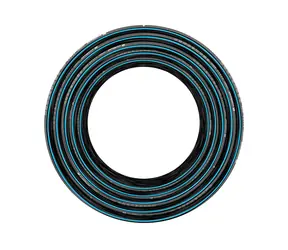 CELLFAST 16-295 Hobby-Gartenschlauch (1/2") - Länge 60 m