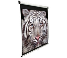 ELITE SCREENS Bildschirmrollo 136" (1:1) weiß / 243,8 x 243,8 cm / Verstärkung 1,1