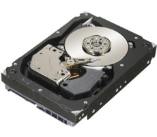 Seagate Cheetah 15K.7 300 GB / 3,5 Zoll / 15.000 U/min / 16 MB Cache / SAS 3 Gbit/s / intern