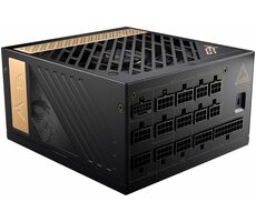 MSI MEG Ai1300P PCIE5 / ATX / 1300 W / 80PLUS Platinum / Active PFC / PCIe 5.0 / 120 mm