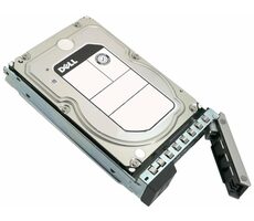 DELL Festplatte 4 TB / HDD / 3,5 Zoll / SATA 6 Gbit/s / 7200 U/min / Hot Plug / Für ausgewählte PowerEdge-Server