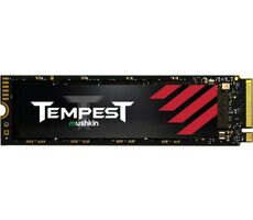 Mushkin Tempest 256 GB SSD / M.2 2280 / NVMe PCIe 3.0 x4 / RW: 3100 & 1400 MBit/s / MTBF: 1,5 / 3 Jahre