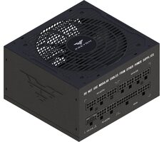 PREYON EAGLE POWER GOLD 750W / ATX / 750W / 80 PLUS Gold / 120 mm / Modular