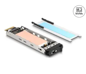DeLock Mobile Tray Interner Einschub für 1 x M.2 NVMe SSD für Mobile Tray 47028