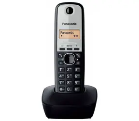 Ausgepackt - Panasonic KX-TG1911FXG schwarz-grau / DECT-Schnurlostelefon / 1-zeiliges Display / Tschechisch Menü / ausgepackt