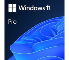 Microsoft Windows 11 Pro EN 64-Bit (OEM) / Betriebssystem / DVD für 64-Bit / Englisch / für 1 PC nicht übertragbar