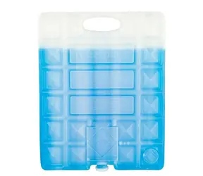 CAMPINGAZ FREEZ PACK M30 / Kühlbox / 20x25,5cm / 1200g