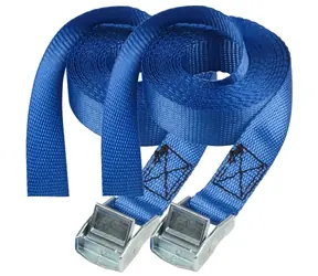 Master Lock 4363EURDAT 2er-Set Zurrgurte mit Metallschnalle - 250cm