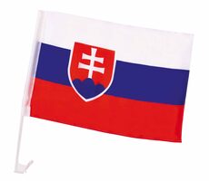 SPORTTEAM Flagge für Auto SR