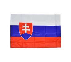 SPORTTEAM Flagge SR 90x60