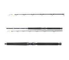 Daiwa Rute Tanacom Ultra Deep 2,1m 400-1000g
