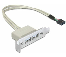 DeLock Stecker für USB 2.0 Low Profile Slot / 2 Ports