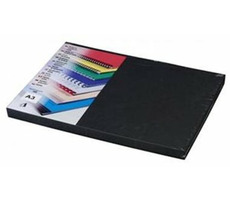 Fellowes Kartons Delta A3 / 250g / schwarz