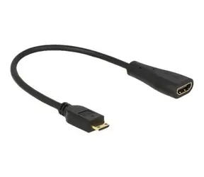 DeLock Cable High Speed HDMI mit Ethernet - Mini-C-Stecker > A-Buchse