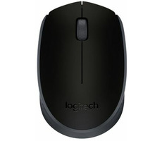 Logitech Wireless M171 schwarz / kabellose optische Maus / 2 Tasten / 1000dpi