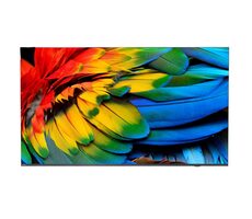 43" Philips 43HFL6214U/12 schwarz / 4K UHD / LED / HDMI / USB / WLAN / DVB-T T2 C / Android / 2x10W Lautsprecher