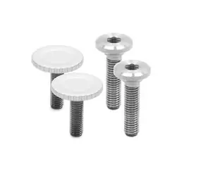 Peak Design Bolt Pack Silver (x2) / zwei Ersatzschraubensätze für die Capture Halterung