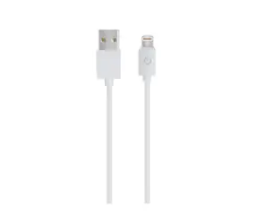 RealPower USB-Kabel USB 2.0 USB-A-Stecker - Lightning-Anschluss 1 m weiß