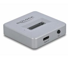 DeLock M.2 Dockingstation für SSD M.2 NVMe PCIe mit USB Typ-C (F) Grau