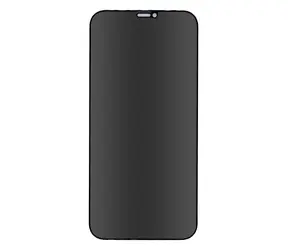 Forever Privacy gehärtetes Glas für Apple iPhone 12 Pro Max 6,7"
