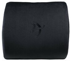 Arozzi Lordosenstützkissen grau / ergonomisches Rückenkissen / universell
