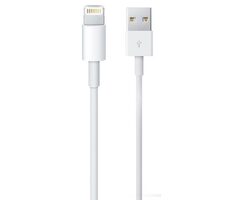 Apple USB Datenkabel Apple MD818ZM iPhone 5 original / bulk