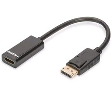 C-tech DisplayPort (M) auf HDMI (F) Adapter