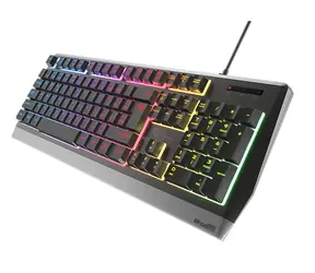 Genesis Rhod 300 RGB schwarz / Tastatur mit Hintergrundbeleuchtung / USB