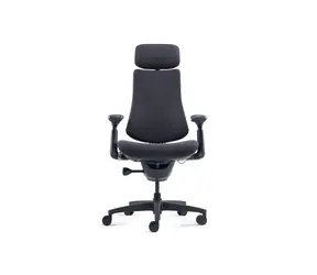 LiberNovo Omni Dynamic Ergonomischer Stuhl (Mitternachtsschwarz) - 48 cm