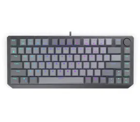 Ausgepackt - Endorfy Thock V2 75% US grau / Gaming-Tastatur / Kabelgebunden / Endorfy Rot / USB / US-Layout / 82 Tasten / ausgepackt