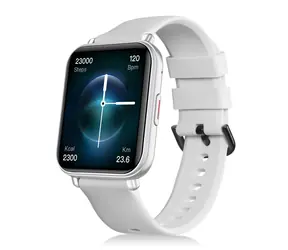 Niceboy WATCH 4 Artic Silber / Smartwatch / 1,78" AMOLED / IP67 / BT 5.3