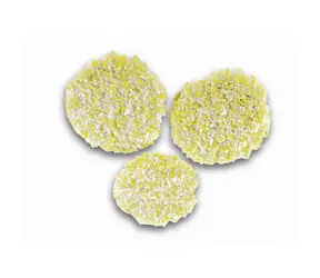 Kärcher 2.863-198.0 Steinpolierpad-Set | Linoleum | PVC für Polierer mit Staubabsaugung FP 303 (3 Stk.)