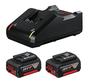 BOSCH 1600A019S0 / Starterkit / 2x GBA 18V 4,0Ah + GAL 18V-40