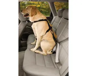 Kurgo Seatbelt Tether schwarz / Sicherheitsgurt für Hunde mit Schlaufe 