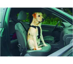 Beeztees Auto-Sicherheitsgurt S